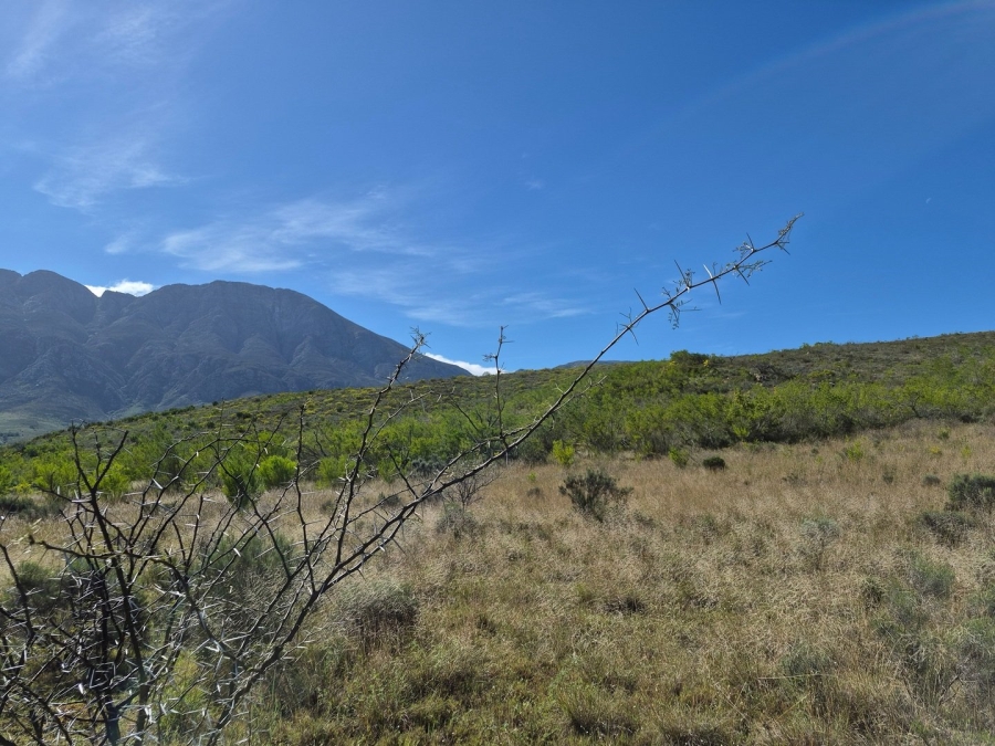 Commercial Property for Sale in Swellendam Rural Western Cape